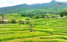 Hấp dẫn các điểm du lịch cộng đồng tại xứ Thanh