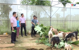 Tín dụng chính sách tạo việc làm, nâng cao thu nhập cho người dân 