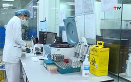 Sàng lọc, phát hiện sớm bệnh tan máu bẩm sinh