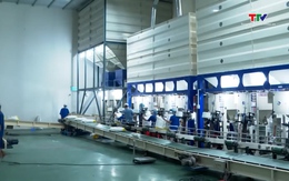 Bỏ giấy phép xuất khẩu gạo - Mở cửa thị trường nhưng cần giữ chuẩn