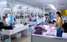 Hợp nhất quy định về cấp giấy chứng nhận xuất xứ hàng hóa 