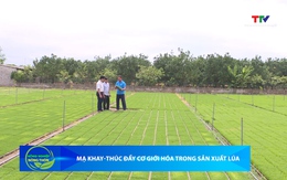 Bản tin Nông nghiệp – Nông thôn ngày 13/06/2026