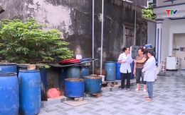 Cảnh báo sốt xuất huyết diễn biến khó lường 