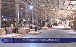 Bản tin Tài chính - Thị trường ngày 14/6/2026