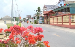 Phương án tổng thể sắp xếp thôn, tổ dân phố trên địa bàn tỉnh Thanh Hóa
