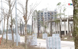 Triển khai cơ chế đặc thù để xử lý vi phạm pháp luật về đất đai
