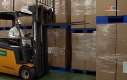 Giá cà phê tăng mạnh, hồ tiêu phục hồi tích cực