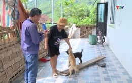 Tăng cường biện pháp phòng, chống bệnh dại trên chó, mèo 