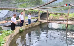 Sắc mới trên bản Xuân Sơn