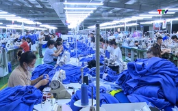 Dệt may Thanh Hóa linh hoạt giữ vững thị trường