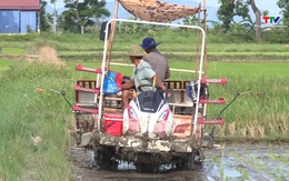 Các địa phương tập trung sản xuất vụ Mùa