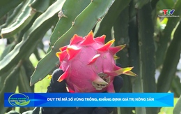 Bản tin Nông nghiệp - Nông thôn ngày 20/6/2026