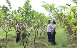 Xây dựng mối liên kết bền vững, mở đường cho tín dụng phát triển