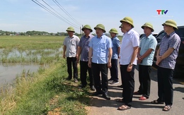 Đẩy nhanh tiến độ sản xuất vụ Thu Mùa