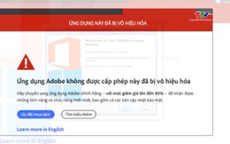 Nguy cơ vướng vòng lao lý do thuê cài đặt, sử dụng phần mềm lậu 