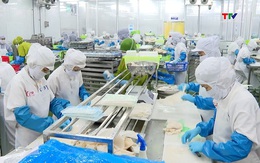 Doanh nghiệp xuất khẩu thủy sản đối mặt giá cước vận tải biển tăng cao