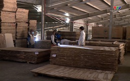 Giữ đà tăng trưởng bền vững cho nông, lâm, thủy sản