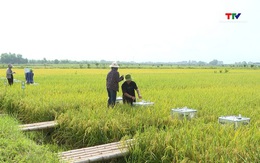 Hơn 3.690 ha sản xuất nông nghiệp sạch đạt tiêu chuẩn an toàn thực phẩm