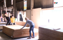 Xuất khẩu nông, lâm, thủy sản tăng tốc, hướng tới mốc 74 tỷ USD