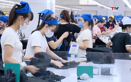 Lan tỏa tinh thần thi đua lao động giỏi, năng suất cao, thu nhập tốt 