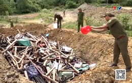 Tiêu hủy hàng nghìn vũ khí, vật liệu nổ, công cụ hỗ trợ