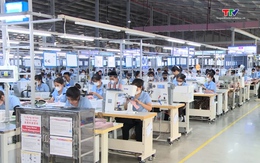 Doanh nghiệp ứng phó với cước vận tải biển tăng  cao