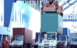 Doanh nghiệp ứng phó với tình trạng cước vận tải biển tăng cao