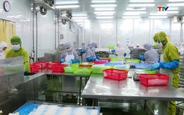 6 tháng, xuất khẩu thủy sản đạt trên 5,7 tỷ USD