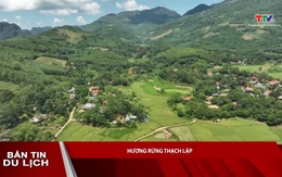 Bản tin Du lịch 27/06/2026