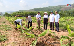 Chủ động xây dựng kịch bản ứng phó với El Nino