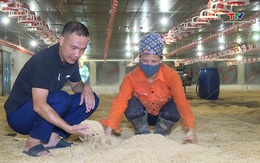 Chủ động phòng chống dịch bệnh cho gia súc, gia cầm