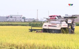 Thị trường nông sản, thực phẩm ổn định