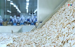 Xuất khẩu thủy sản Việt Nam tăng tốc, hướng tới mốc 12 tỷ USD