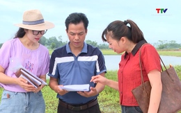 Chậm cấp “sổ đỏ” cho các hộ dân trúng đấu giá đất tại phường Đông Tiến