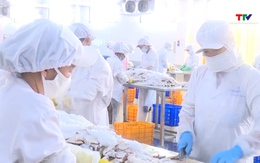 5 tháng đầu năm 2026, xuất khẩu nông lâm thủy sản đạt hơn 30 tỷ USD 
