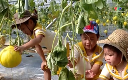 Du lịch sinh thái – trải nghiệm trong lòng xứ Thanh