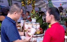 Ban hành Bộ tiêu chí và quy trình đánh giá, phân hạng sản phẩm OCOP