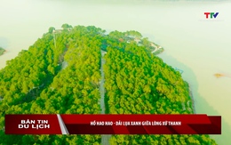 Bản tin Du lịch 04/06/2026