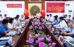 Công bố quyết định, kế hoạch giám sát thường xuyên