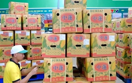 Thị trường Halal mở dư địa tăng trưởng cho hàng Việt