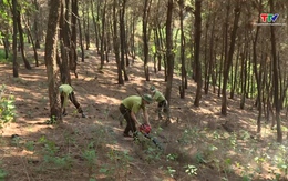 Triển khai đồng bộ các giải pháp phòng chống cháy rừng 
