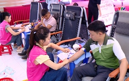 Ngày hội hiến máu “Giọt hồng Doanh nhân trẻ Thanh Hoá” năm 2026