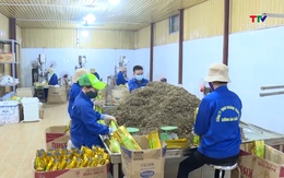 Linh hoạt thích ứng thị trường để phát triển tiểu thủ công nghiệp