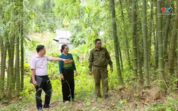 Phú Lệ phát huy mô hình “chi bộ 4 tốt” 