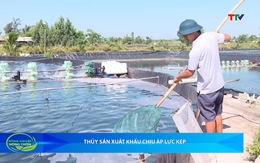 Bản tin Nông nghiệp – Nông thôn ngày 01/7/2026