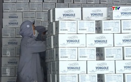 Thủy sản xuất khẩu chịu áp lực kép