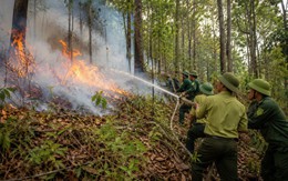 Quyết liệt triển khai các biện pháp cấp bách phòng cháy, chữa cháy rừng
