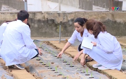 Thiếu nhân lực chất lượng cao - điểm nghẽn của chuyển đổi số