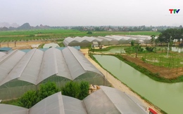 Nông nghiệp Thanh Hóa ước đạt mức tăng trưởng 3,6%