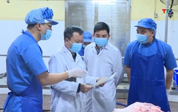 Tăng cường kiểm soát vận chuyển, giết mổ gia súc 